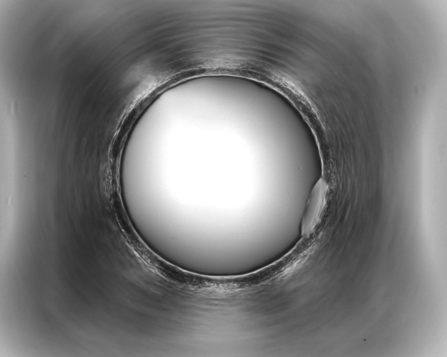 X0000086950978200704301214