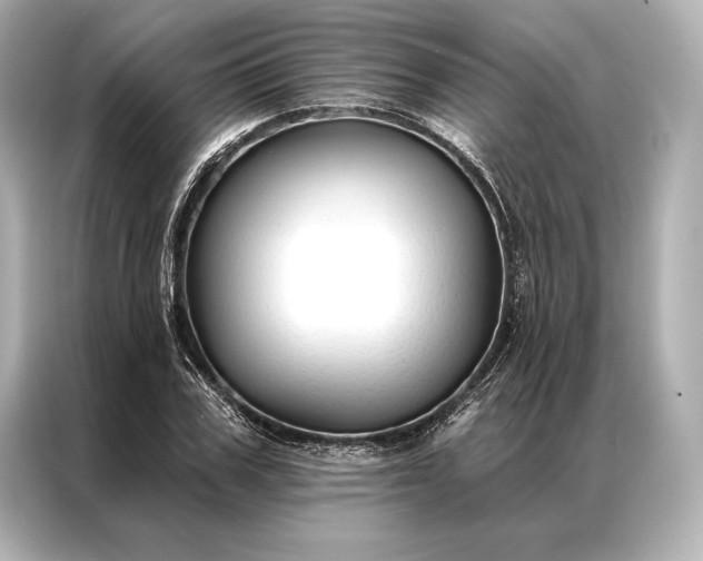 X0000086950979200704301214