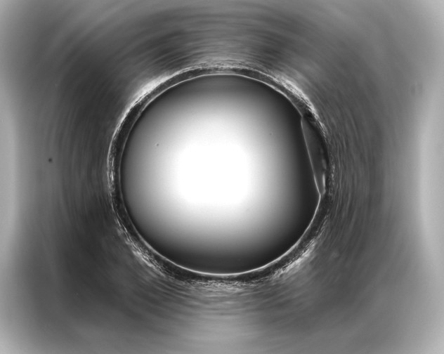 X0000086950981200704301214