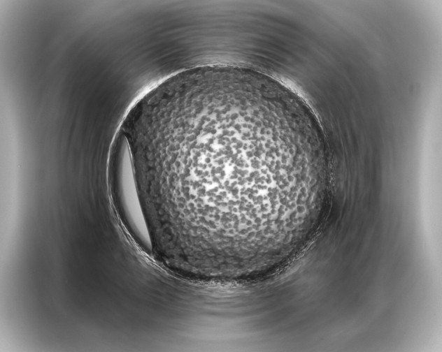 X0000086950983200704301214