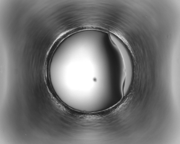 X0000086950984200704301214