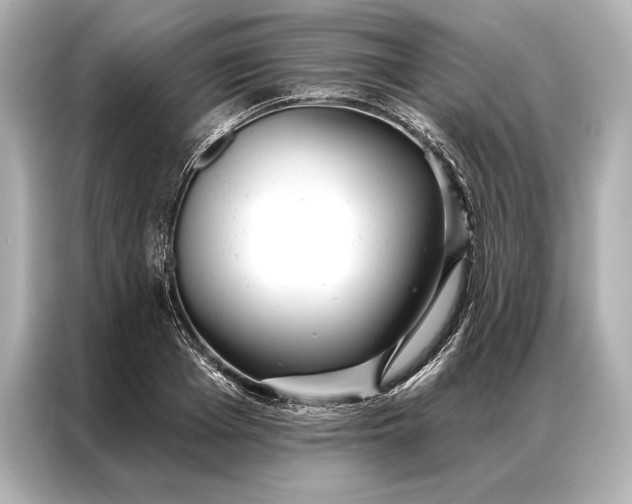 X0000086950985200704301214