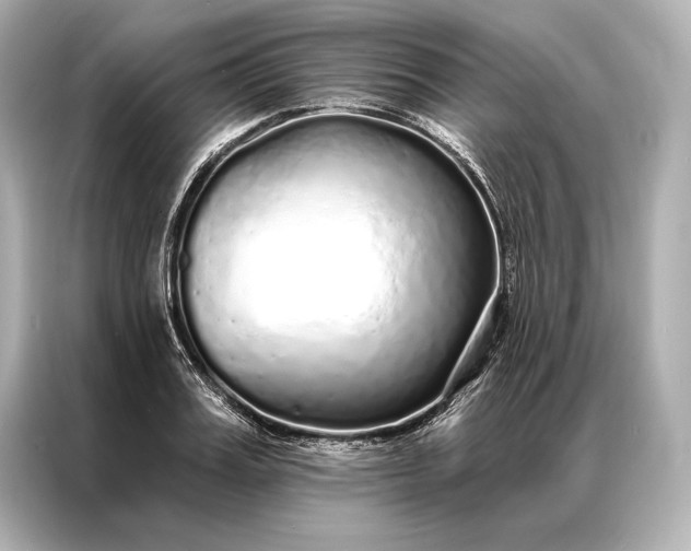 X0000086950987200704301214