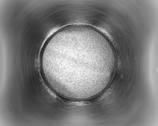 X0000086950990200704301214