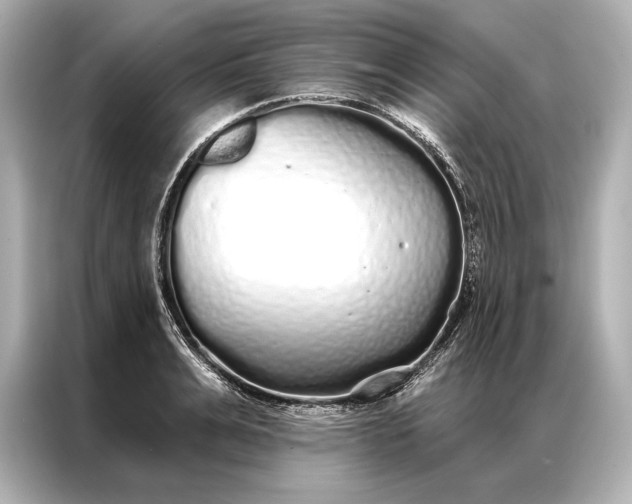 X0000086950991200704301214