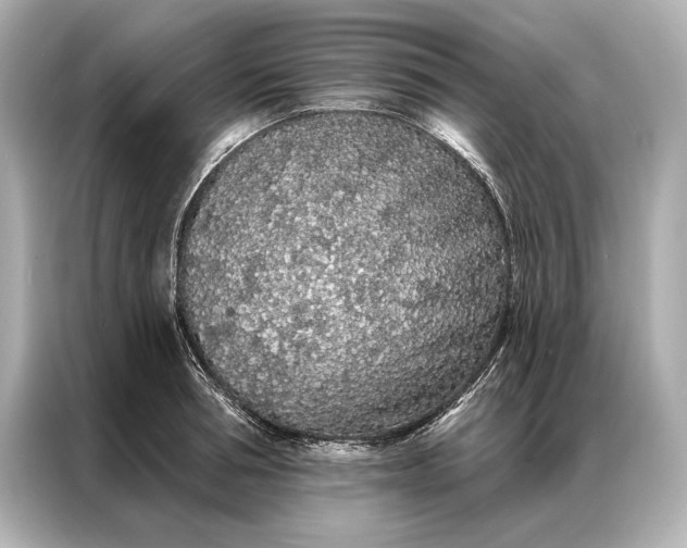 X0000086950994200704301214