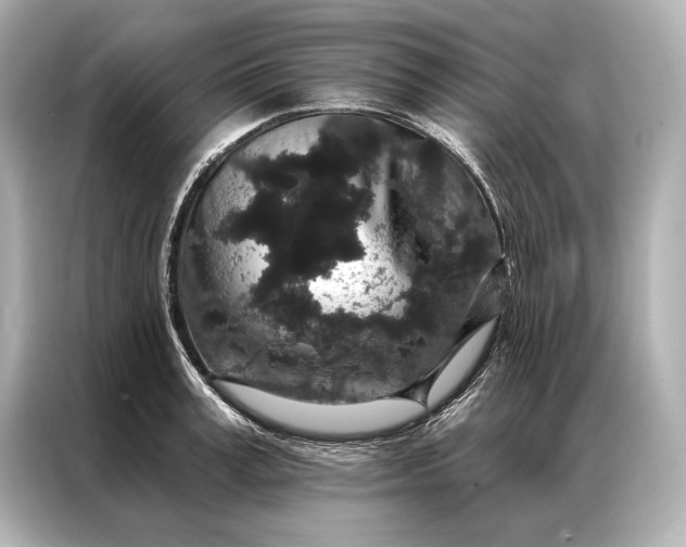 X0000086950995200704301214