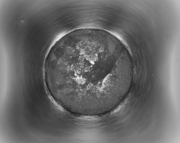 X0000086950998200704301214