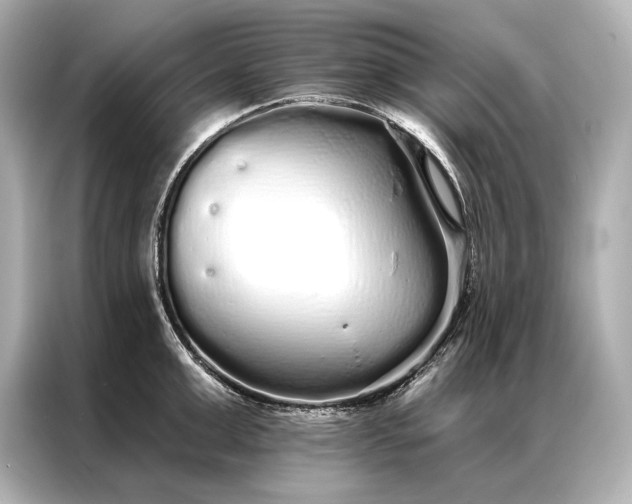 X0000086950999200704301214