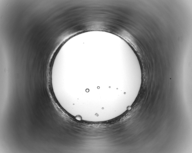 X0000086951000200704301214