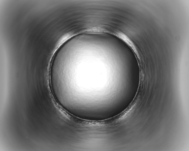 X0000086951002200704301214