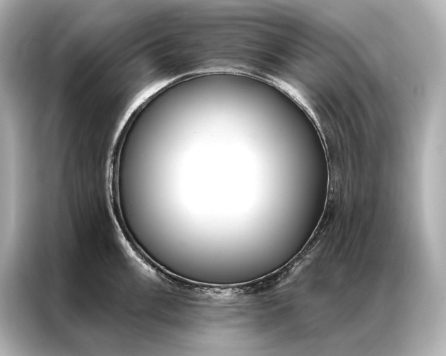 X0000086951003200704301214