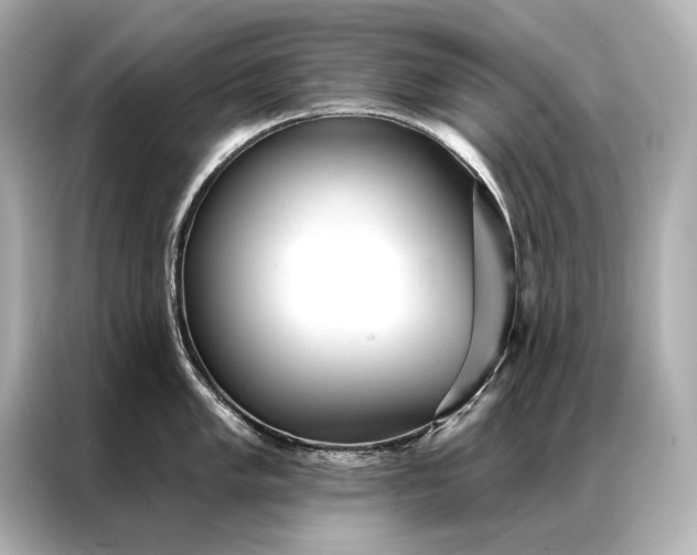 X0000086951005200704301214