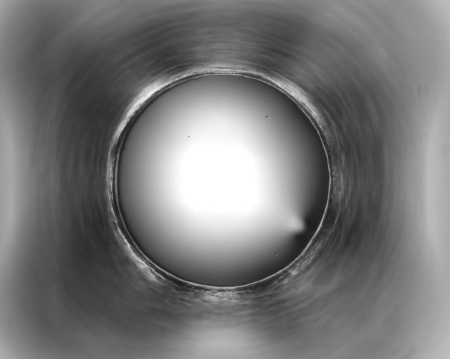 X0000086951006200704301214