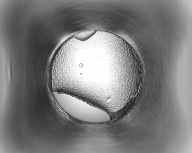 X0000086951008200704301213