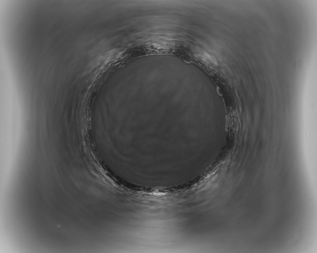 X0000086951009200704301213