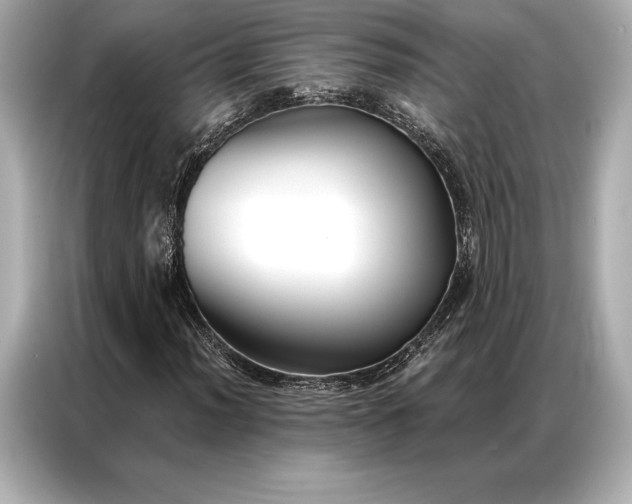 X0000086951012200704301213