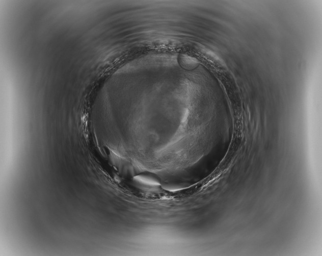 X0000086951013200704301213