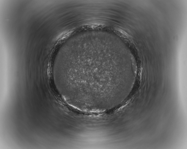 X0000086951014200704301213