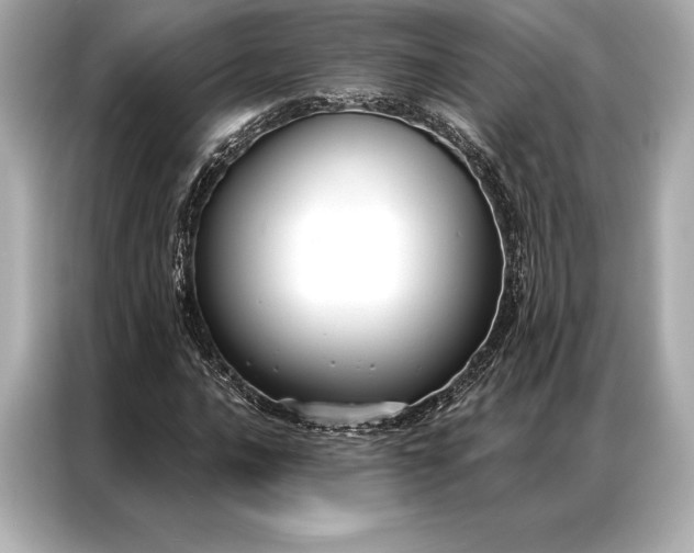 X0000086951016200704301213