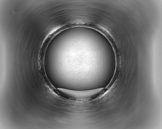 X0000086951018200704301213