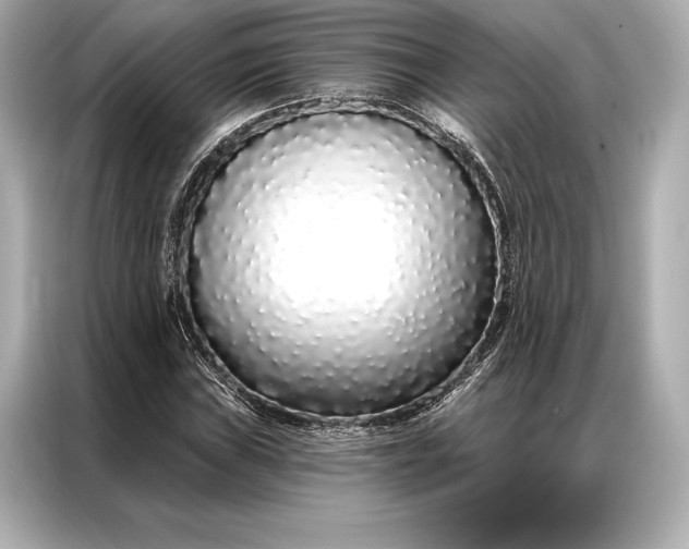 X0000086951019200704301213