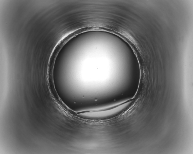 X0000086951020200704301213