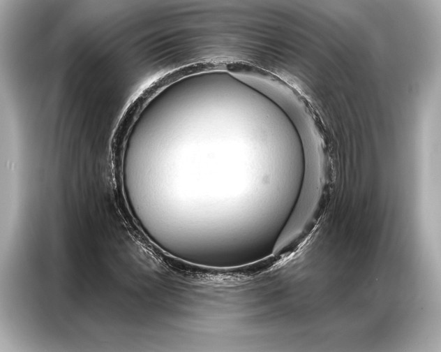 X0000086951022200704301213