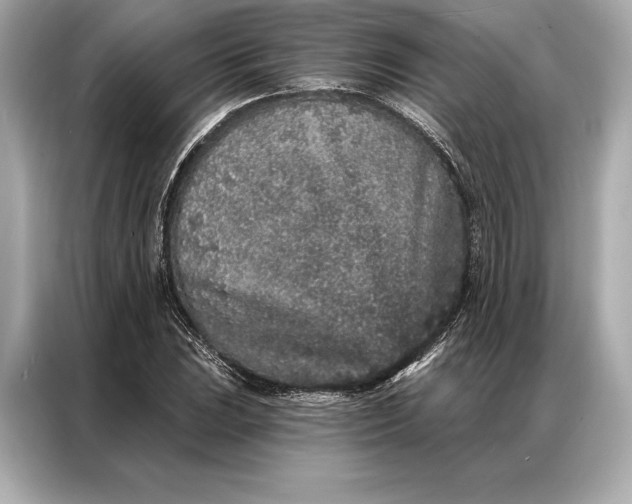 X0000086951023200704301213