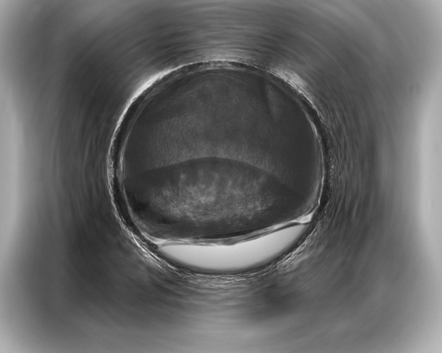 X0000086951024200704301213