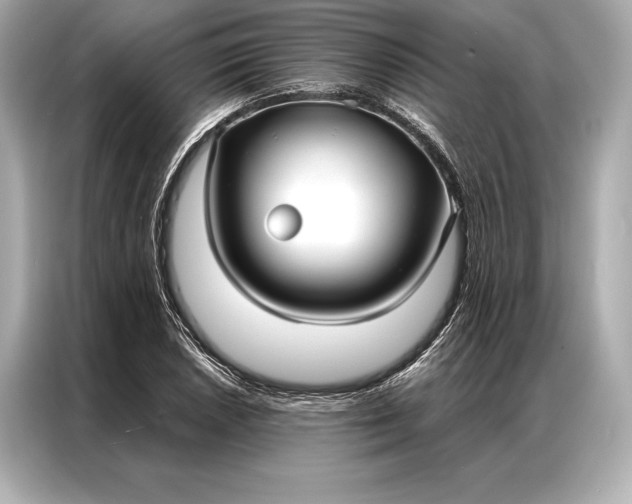 X0000086951026200704301213