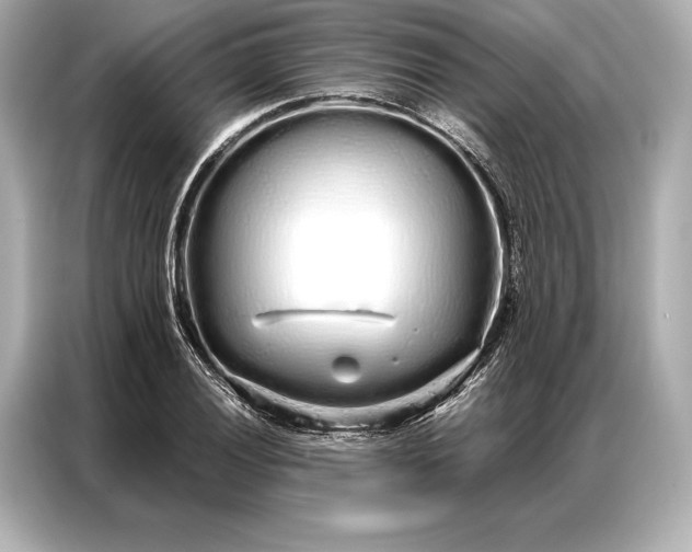 X0000086951028200704301213