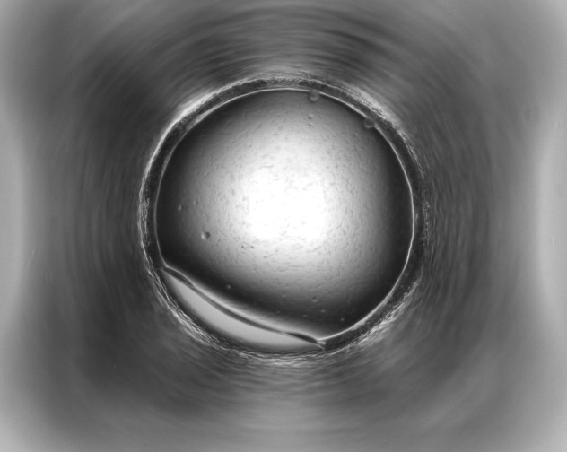 X0000086951029200704301213