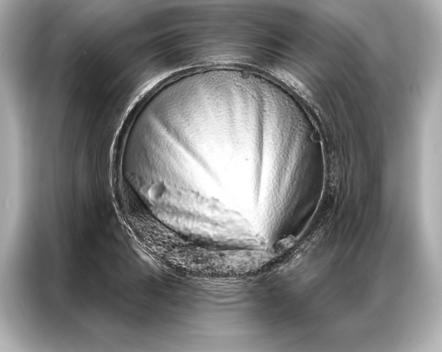 X0000086951031200704301213