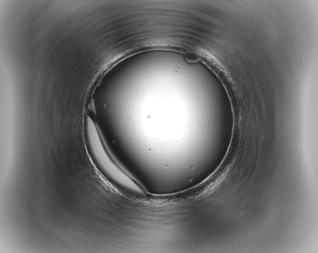 X0000086951033200704301213