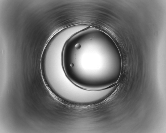 X0000086951034200704301213