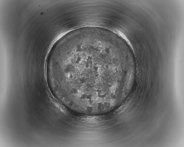 X0000086951035200704301213