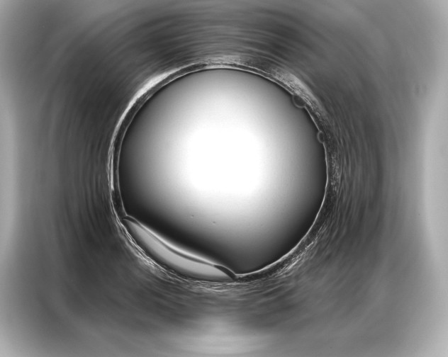 X0000086951036200704301213