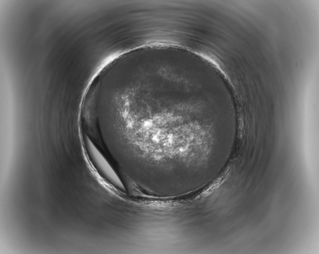 X0000086951038200704301213