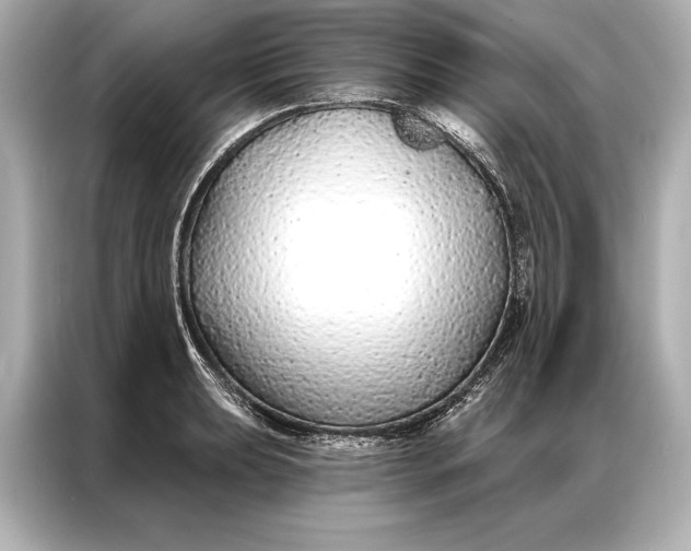 X0000086951039200704301213