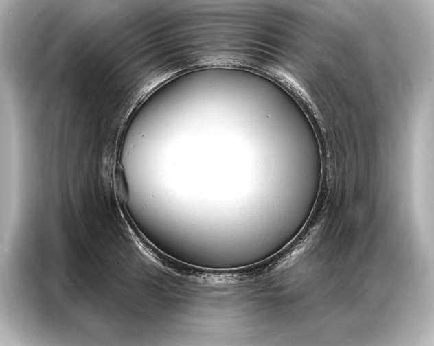 X0000086951041200704301213