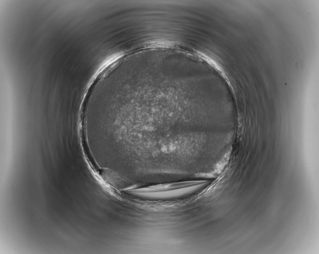 X0000086951042200704301213