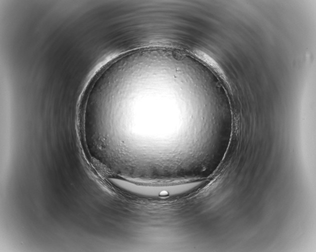 X0000086951043200704301213