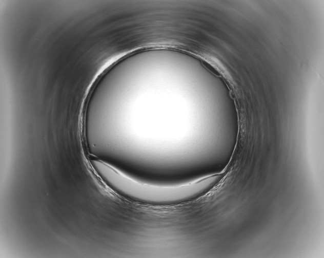 X0000086951044200704301213