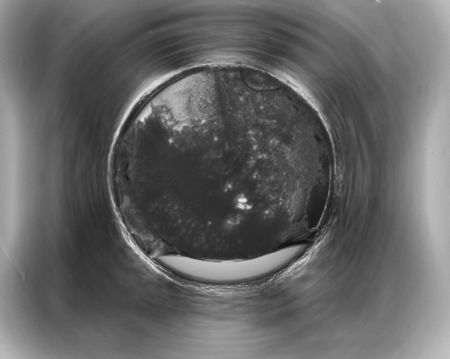 X0000086951045200704301213