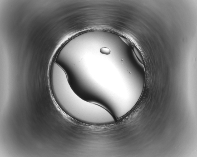 X0000086951046200704301213