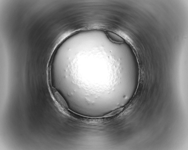 X0000086951047200704301213