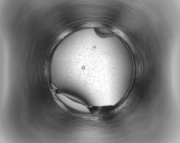 X0000086951049200704301213