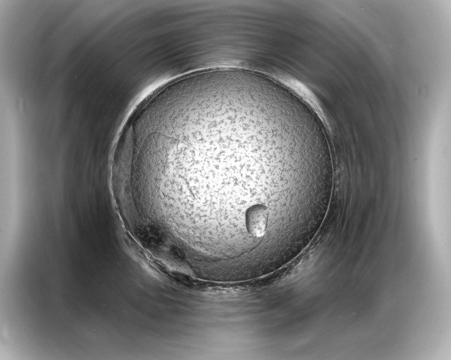 X0000086951051200704301213