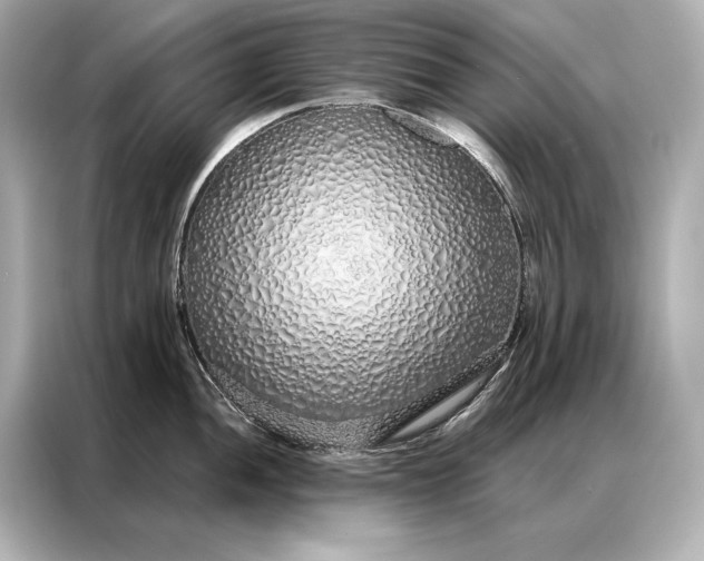 X0000086951052200704301213